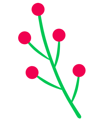 Christmas mistletoe